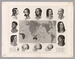 Plate 119. The Five Races of (Mankind) Blumenbach. View: Anatomy ...