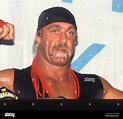 Hulk Hogan 1987 Photo By John Barrett/PHOTOlink Stock Photo - Alamy