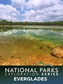 Watch National Parks Exploration Series: The Everglades | Prime Video