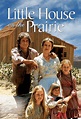 Little House on the Prairie - VPRO Cinema - VPRO Gids