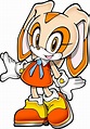cream the rabbit - Google Search Sonic The Hedgehog, Silver The ...