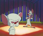 Pinky and the Brain Das Mouse