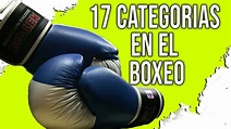 ¿CUÁNTAS CATEGORÍAS DE PESO HAY EN EL BOXEO? - YouTube
