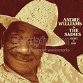 Album Art Exchange - Night & Day by Andre Williams, The Sadies - Album ...