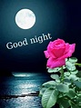 Good Night Pictures, Images, Graphics