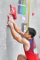 拿下巴黎奧運攀岩資格，龍金寶未來要突破5秒大關 - 新浪香港