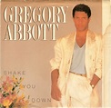 DeeJay ANDRE MOTTA fazendo a sua cabeça...: Gregory Abbott - Shake You Down (Extended Club Mix)