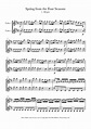 Vivaldi - Spring from The Four Seasons 1. Allegro Sheet music for ...