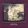 Cave of Forgotten Dreams - Album by Ernst Reijseger | Spotify