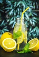 Recipe How To Make Lemonade - Herbs and Food Recipes