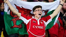 'Being born in Wales' makes you Welsh, poll says - BBC News
