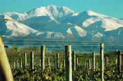 ¿Querés viajar a Mendoza en el verano? Te contamos cómo | Descubrir Turismo
