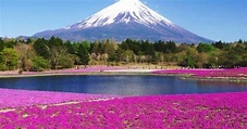 Fuji Hakone Izu, el parque emblemático de Japón | La Verdad Noticias