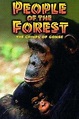 People of the Forest: The Chimps of Gombe (1988) | The Poster Database ...