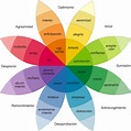 Tipos de emociones: qué son, cuáles y su clasificación - Diferenciando