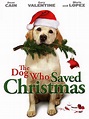 The Dog Who Saved Christmas (2009) - Rotten Tomatoes