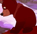The Grizzly-Bear-Cub Koda | The 2D-Animated Wiki | Fandom