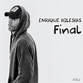 Enrique Iglesias - Final (Vol.1) - CD - Walmart.com