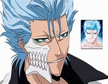 grimmjow - Grimmjow Jeagerjaques Photo (26582547) - Fanpop
