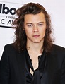 Harry Styles Picture 151 - 2015 Billboard Music Awards - Press Room