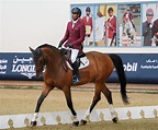 Season 5 of Longines Hathab Qatar Equestrian Tour to start from October ...