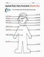 Spanish Body Parts Label Worksheet & Answer Key | Made By Teachers