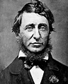 Leader Resource 1: Henry David Thoreau, Portrait | Resistance and ...