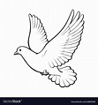Free flying white dove isolated sketch style Vector Image