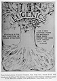 Reflecting on the legacies of eugenics - The Wiener Holocaust Library