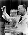 Jonas Salk | MY HERO