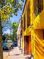 The Ultimate Self Guided Walking Tour of Historic Coyoacán, Mexico City ...