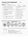 The Cell Cycle Coloring Worksheet Key | Biology worksheet, Cell cycle ...