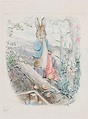 In Pictures: See Beloved Author Beatrix Potter’s Magical Drawings From ...
