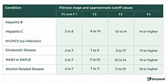 Fatty Liver Fibrosis Score Chart - Herbs and Food Recipes