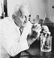 Albert Szent-Györgyi - Chemistry Encyclopedia - structure, name