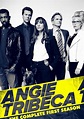 Angie Tribeca temporada 1 - Ver todos los episodios online