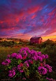 earthlyenchantment: “ (via Pinterest) Wisconsin Horizons by Phil Koch ...