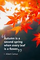 autumn is a second spring when every leaf is a flower