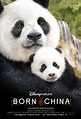 Born in China - Película 2016 - Cine.com