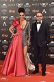 Cristina Rodríguez y su acompañante en la alfombra de los Premios Goya ...