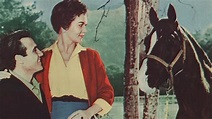 The Sad Horse (1959) – Filmer – Film . nu