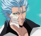 Grimmjow Jaegerjaquez | Bleach Wiki | Fandom