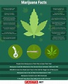 Marijuana Facts: Types, Benefits, Side Effects & More - Facts.net