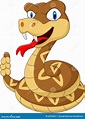 Cute Rattlesnake Cartoon Cartoon Vector | CartoonDealer.com #57611209