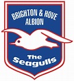 Brighton-Hove-Albion-FC-2000-2011-1 – worldsoccerpins.com