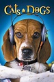 Cats & Dogs (2001) - Posters — The Movie Database (TMDB)