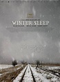 Recensione su Il regno d'inverno - Winter Sleep (2014) di bufera ...