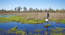 Houma, Louisiana USA | Turismo en El Bayou | Visit The USA