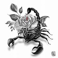 Scorpion Tattoo Sketch