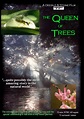 The Queen of Trees (2005)